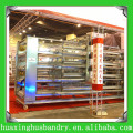 chicken layer cage with automatic egg collection,automatic feeding and watering system